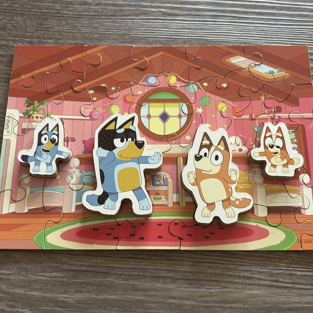 4-Pack Bluey Wooden Puzzles - Picture 12 of 15